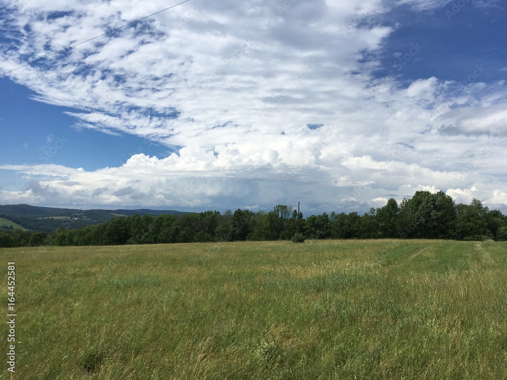 Obraz premium Landscape
