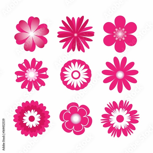 Set of pink flat icon flower isolated on white background