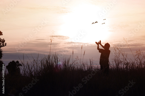 silhouette of women posing and showing hand in shape of bird on sky in twilight, concept as thinking, freedom, free life, analyzing about business and success in working at sunset