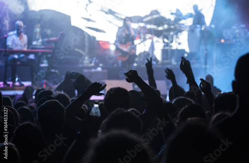 Cheering crowd at a concert