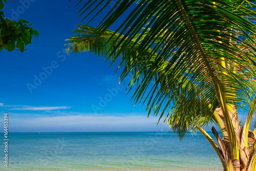 Thailand. Sea, palms