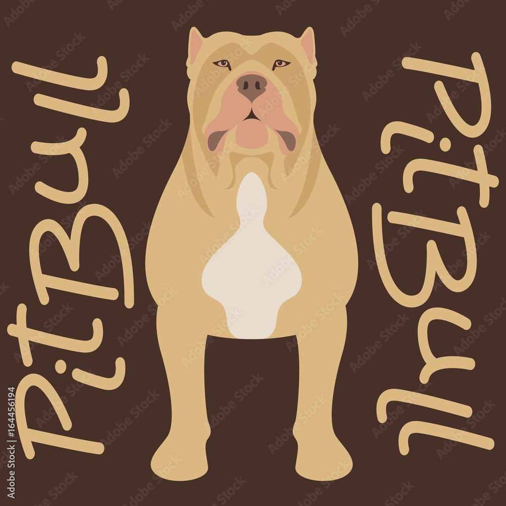 pitbull terrier vector illustration style flat 