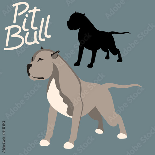 pitbull terrier vector illustration style flat black silhouette