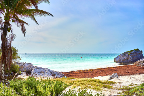 Fototapeta Naklejka Na Ścianę i Meble -  Ruins of Tulum / Caribbean coast of Mexico - Quintana Roo - Cancun - Riviera Maya