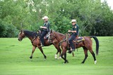 Police of Horseback