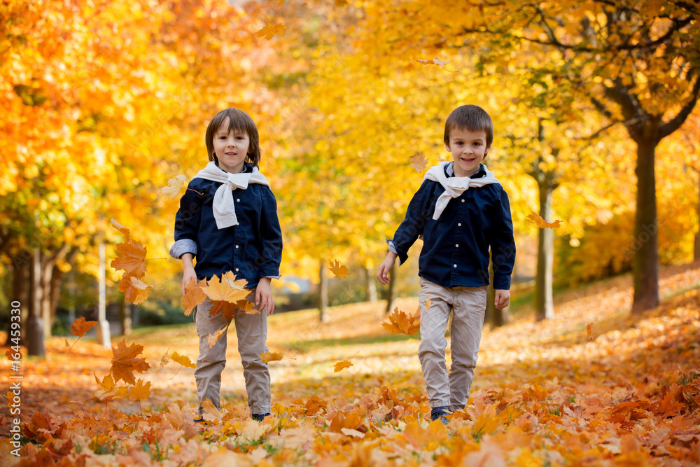Happy children, boy brothers, playing in the park with leaves Happy children, boy brothers, playing in the park with leaves