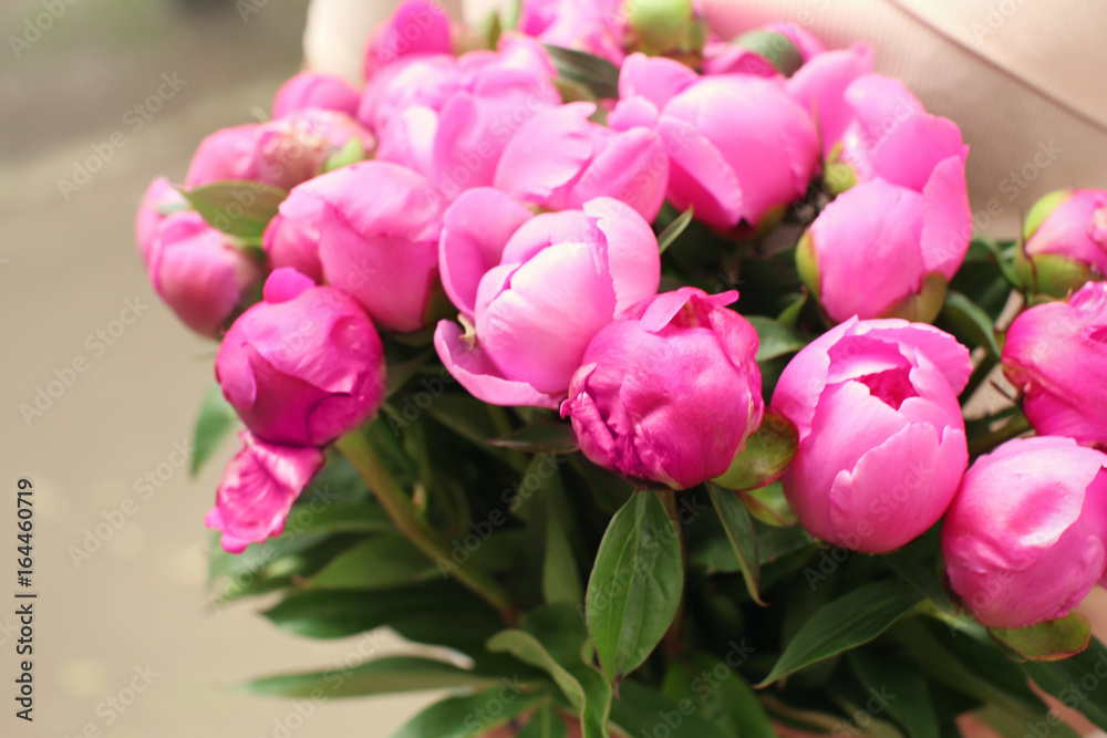 Obraz premium Beautiful peony flowers, closeup