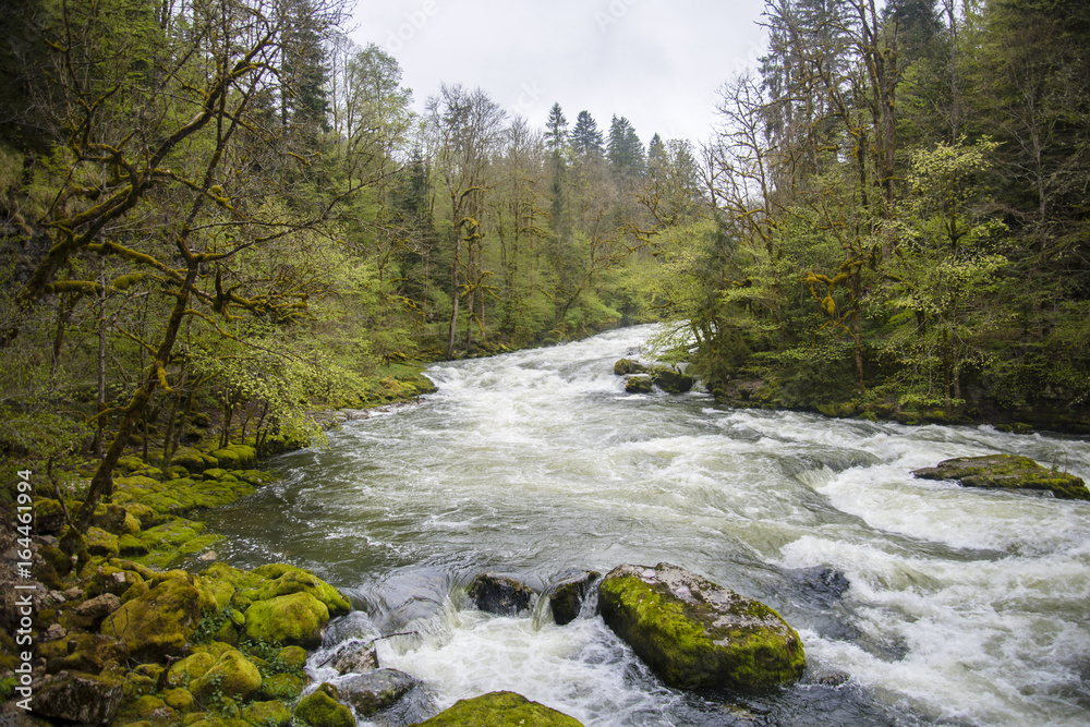 Grande et puissante rivière en forêt Grande et puissante rivière en forêt