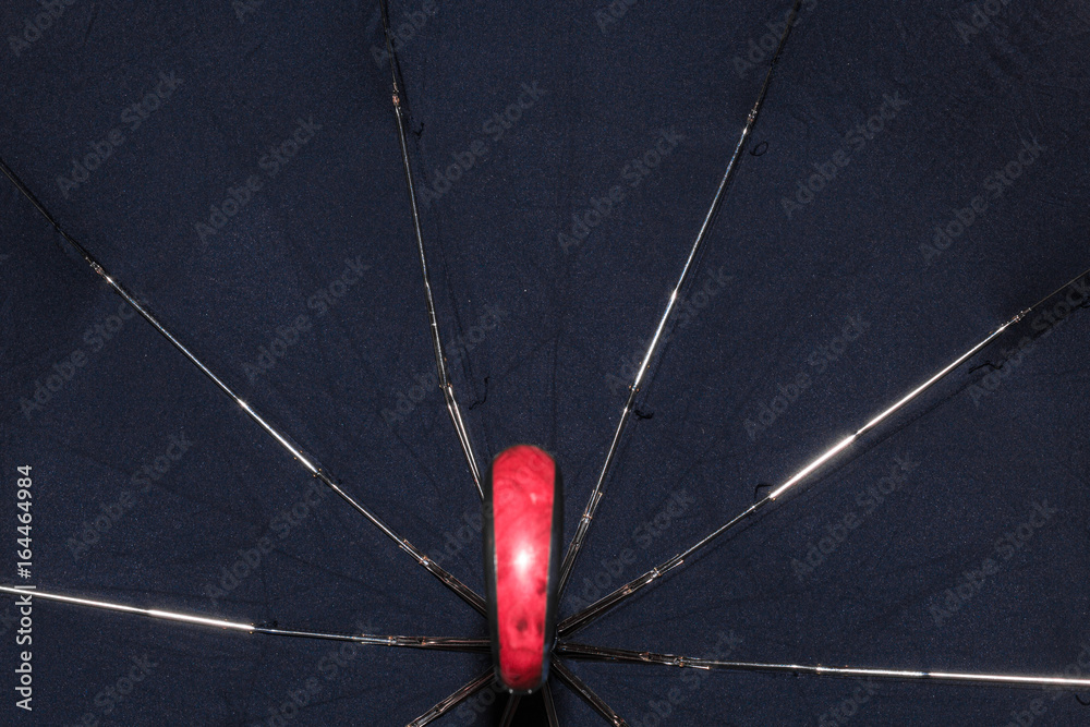 opened black umbrella on the inside like a spider opened black umbrella on the inside like a spider