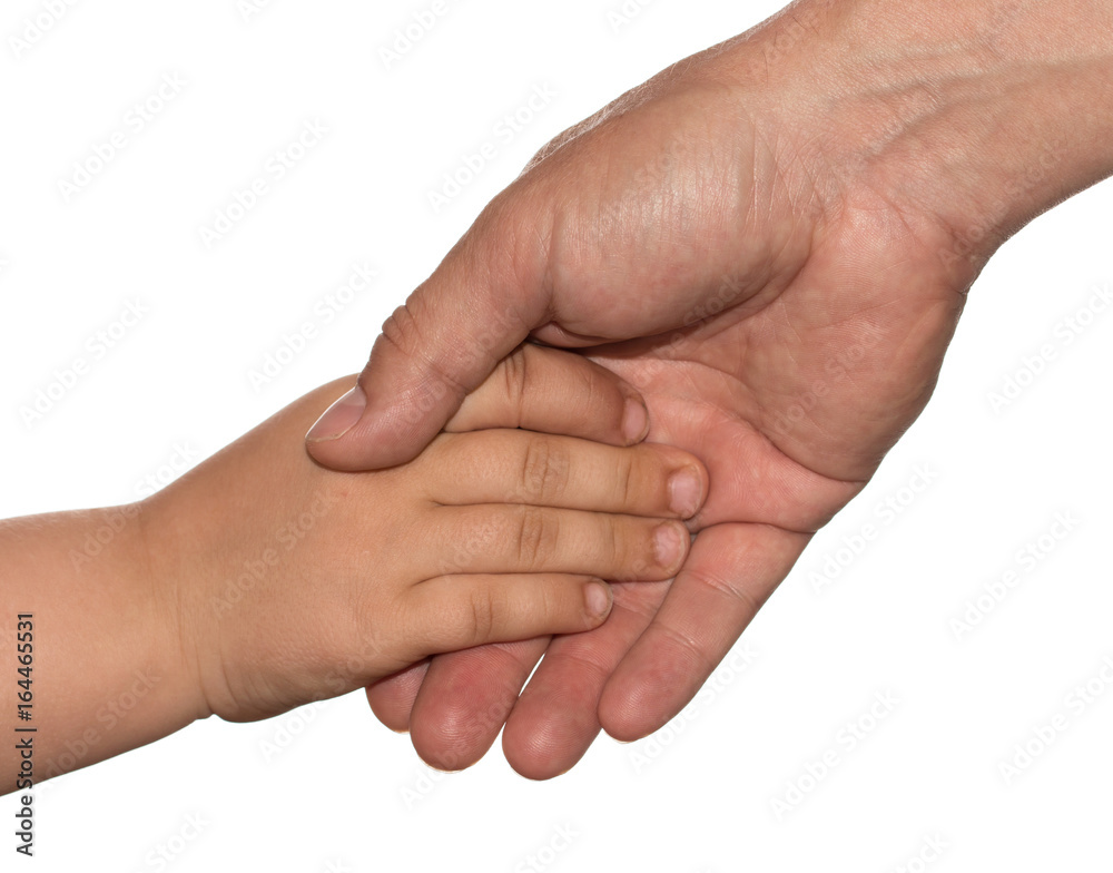 Hand of a child and father on a white background Hand of a child and father on a white background