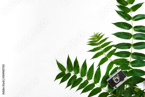 Green leaves and old camera on white background, Summer background. Top view photo