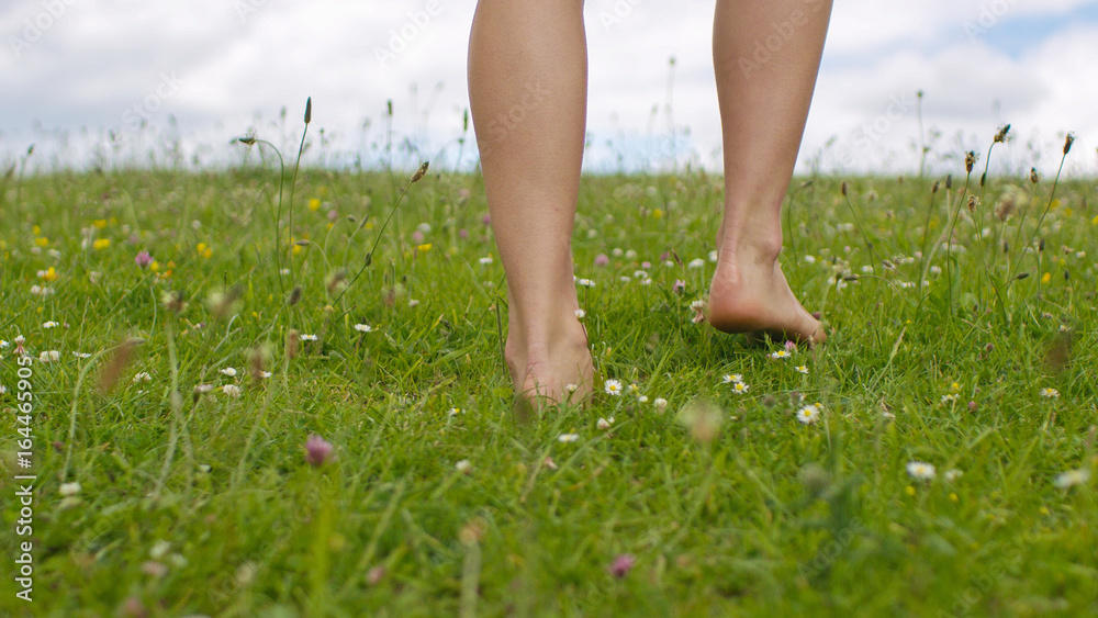 Feet of a young female walking barefoot through green grass Feet of a young female walking barefoot through green grass