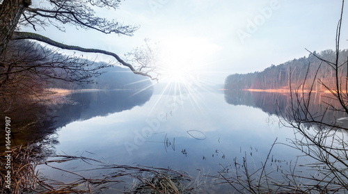 ein See im Land Brandenburg ( Deutschland ) photo