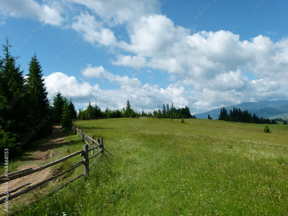 Beautiful view of the landscape in the mountains of the Carpathians Ukraine
