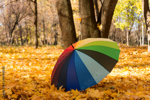 Colored umbrella