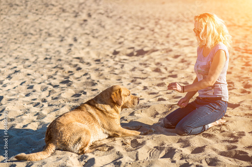 Portrait of young beautiful woman in sunglasses sitting on sand beach with golden retriever dog. Girl with dog by sea. Sun flare © nazarovsergey