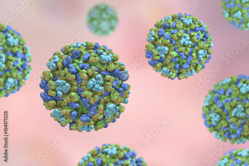Eastern equine encephalitis virus  3D illustration. An RNA Alphavirus from Togaviridae family transmitted by mosquiotes which causes encephalitis in animals and humans