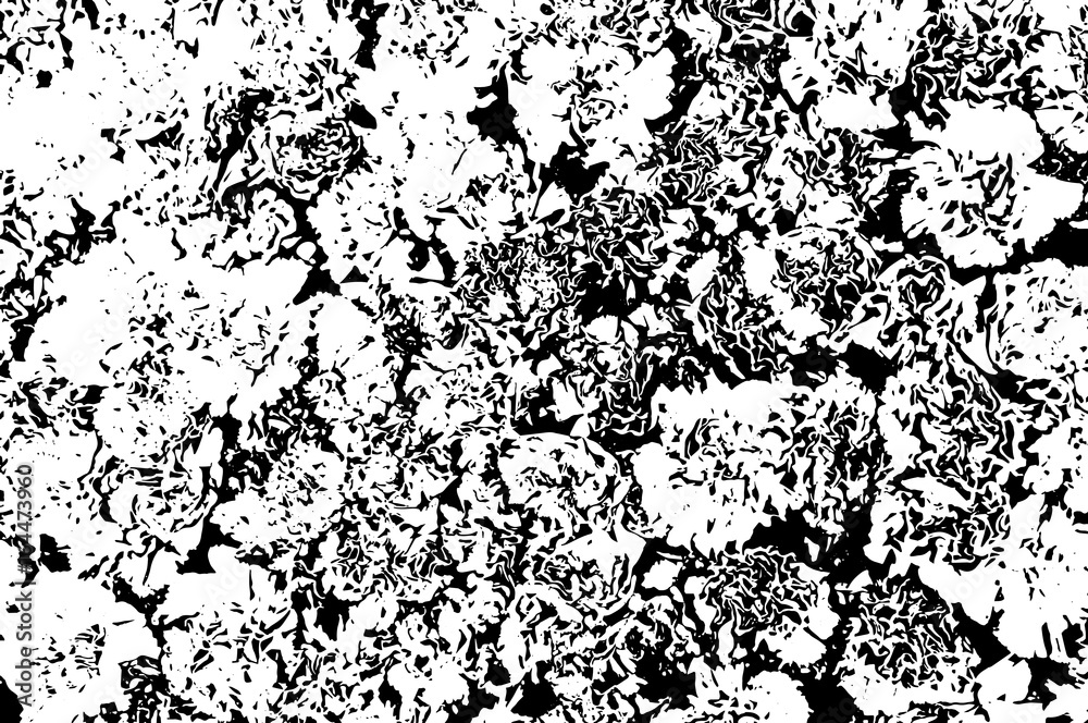 Black and white grunge texture. Marbling illustration. Abstract background. Vector pattern.
