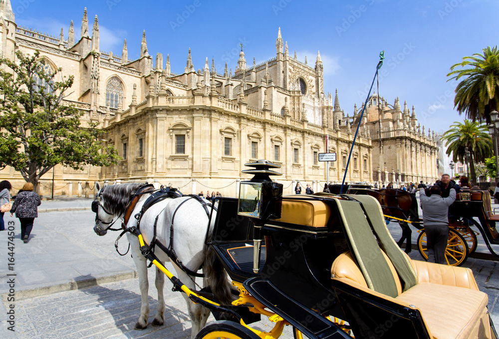 Obraz premium The Cathedral of Saint Mary of the See in Seville