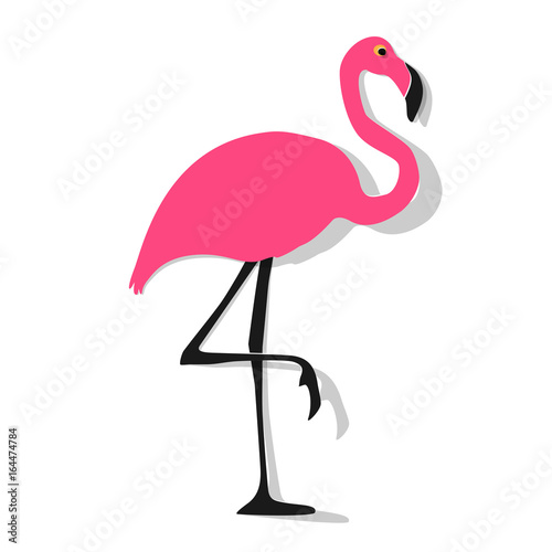 Flamingo pink on a white background.
