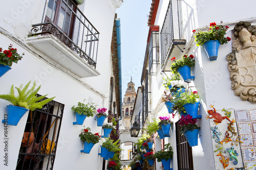Flowers in flowerpot on the white walls on famous Flower street Calleja de las Flores in old Jewish quarter of Cordoba, Andalusia photo