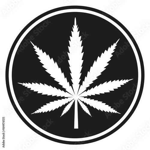 Cannabis leaf on a black background