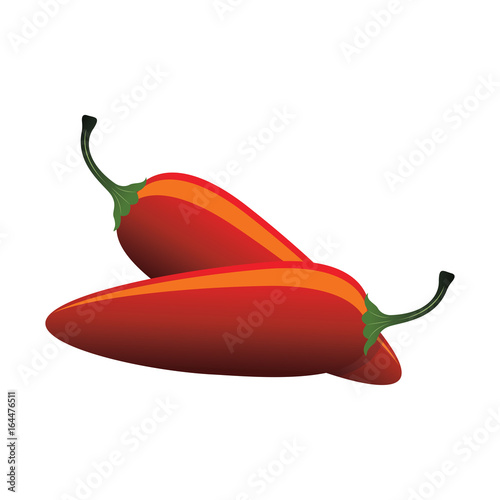 raw jalapeno hot red chilies. vector illustration 