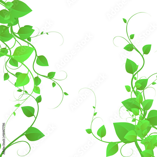 Background with beautiful foliage, branches with leaves, creeping plant, vector