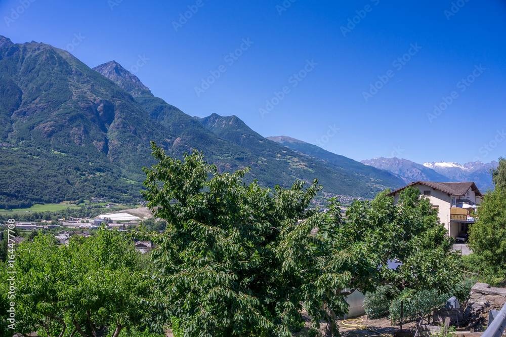 Mountain Panorama with tree and blue sky