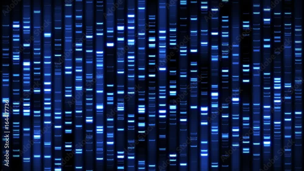 DNA Analysis Sequence Loop