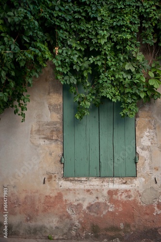 porte et fenêtre