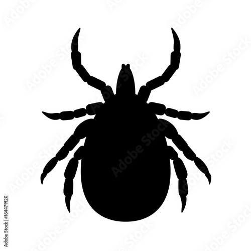 mite