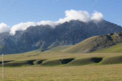 Monte Paradiso, all'orizzonte Cima Delle Veticole, cavalli, mucche, Parco Nazionale Gran Sasso e Monti della Laga, inizio dell'estate 