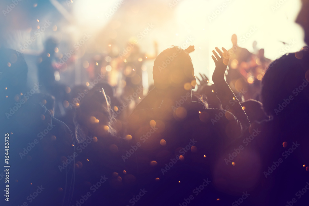 Cheering crowd at a concert