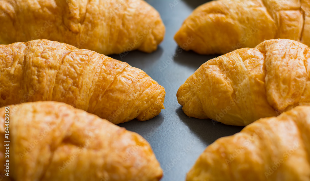 Croissants are in tray after leaving the oven for Served customers in breakfast. Croissants are in tray after leaving the oven for Served customers in breakfast.