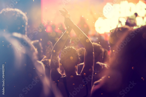 Cheering crowd at a concert