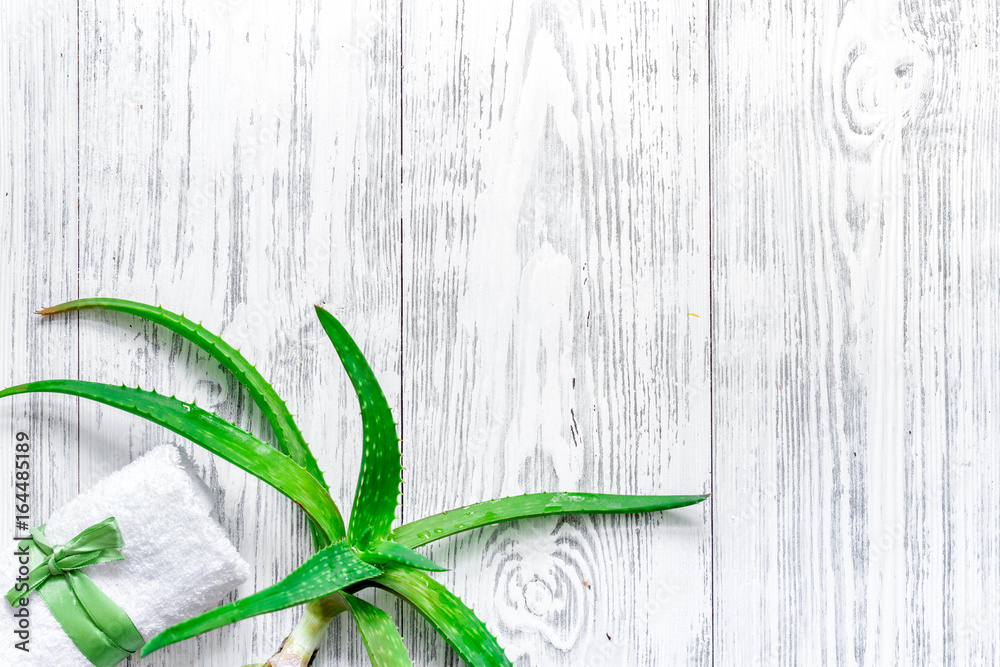 Obraz premium Fresh aloe vera leafs on wooden background top view copyspace