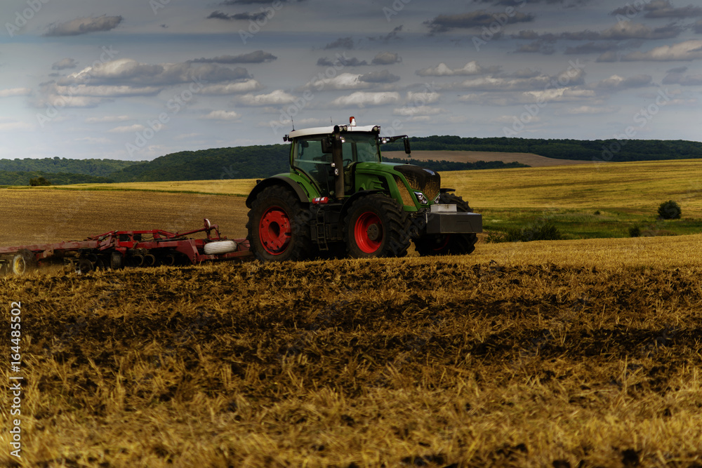 Fototapeta premium Harvesting wheat tractor