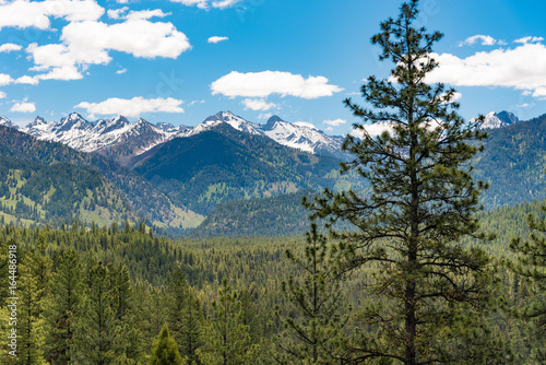 Ponderosa Pines Scenic Byway, Idaho © tristanbnz