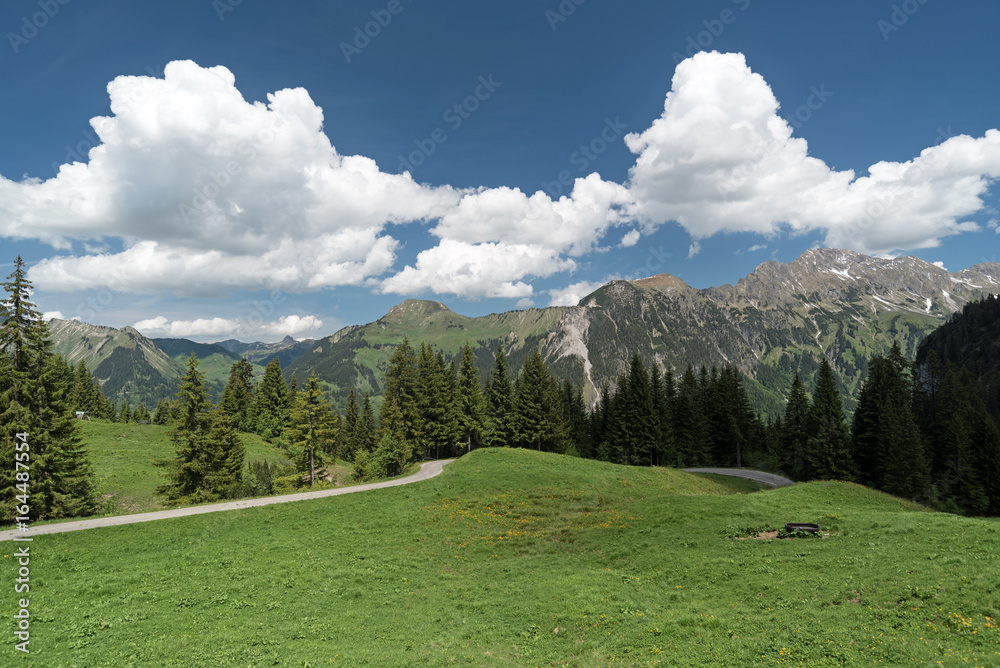 Großes Walsertal in Österreich, Land Vorarlberg
