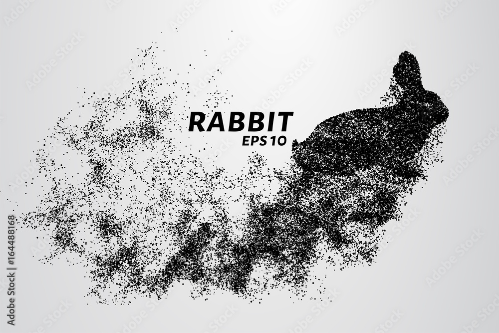 Fototapeta premium Rabbit from the particles. Rabbit consists of circles and points. Vector illustration.