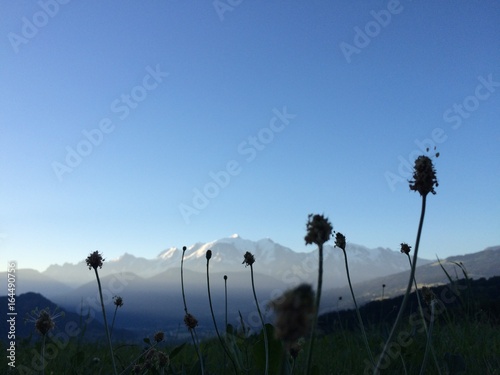 Mont Blanc arrière plan