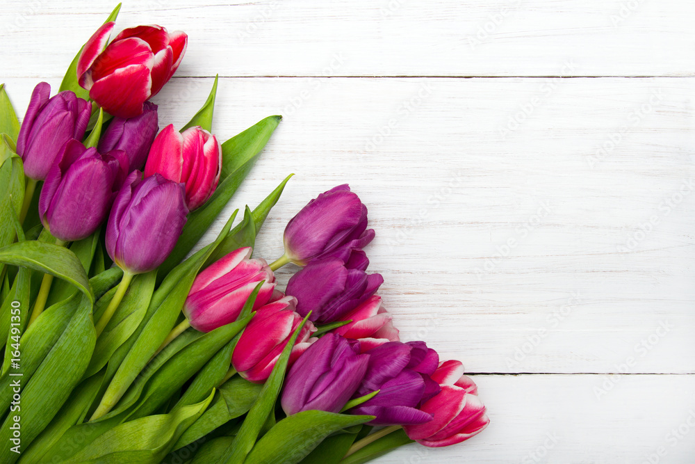 Tulip bouquet on white wooden background, copy space Tulip bouquet on white wooden background, copy space