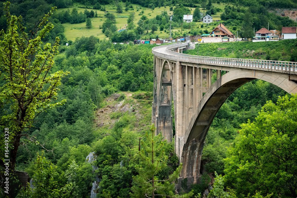 Đurđevića Tara Bridge - the biggest vehicular concrete arch bridge in Europe