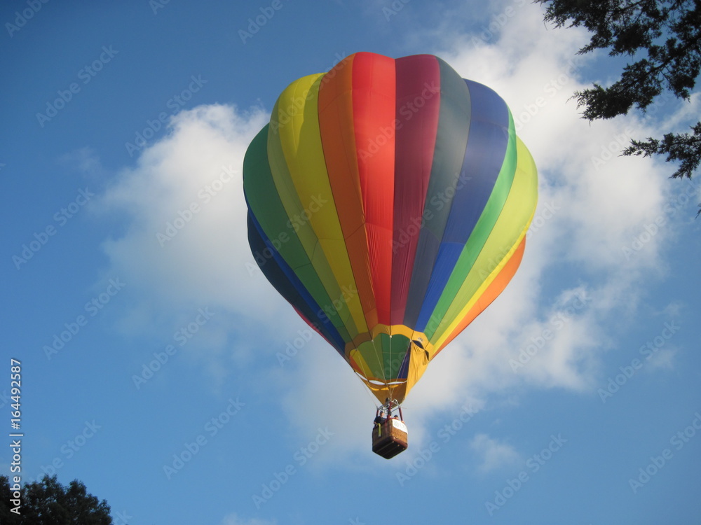 Obraz premium Hot Air Balloon 33