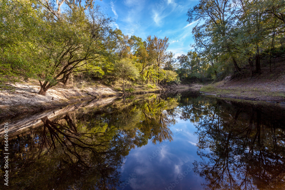 Alapaha Mirror Alapaha Mirror