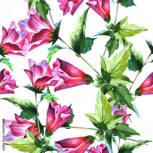 Wildflower flower pattern in a watercolor style. Full name of the plant  watercolor flower. Aquarelle wild flower for background  texture  wrapper pattern  frame or border.