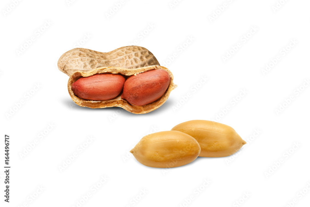 peanuts isolated on white peanuts isolated on white
