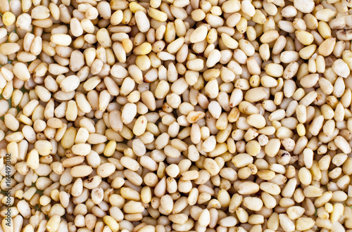 фотографія Many cores of pine nuts. Texture. Screensaver. Wallpaper.