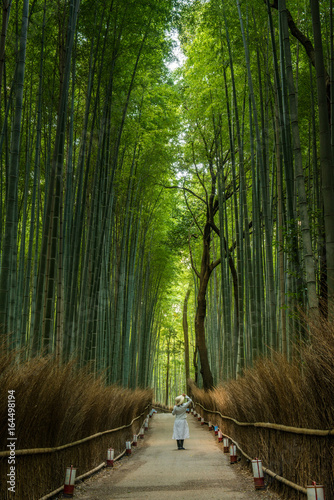 White dressed woman in a bamboo forest, Japan